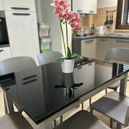 Vento Libero * マルサラ